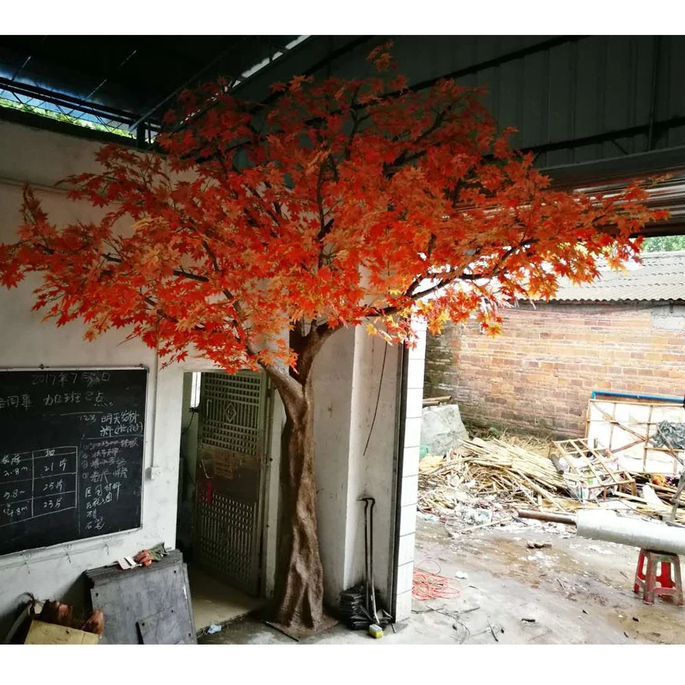 The crown of the 3m maple tree seen from below against a bright ceiling