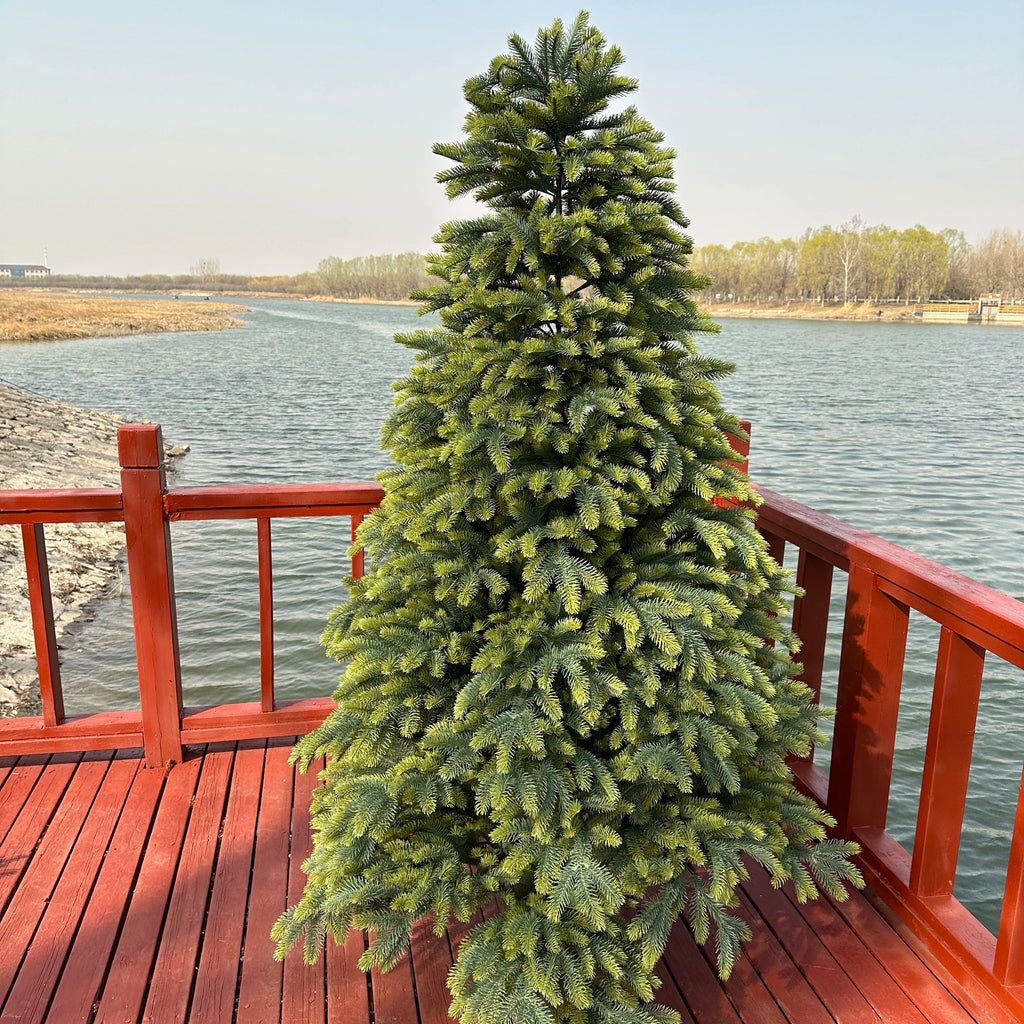 The full silhouette of the large Christmas tree against a plain wall