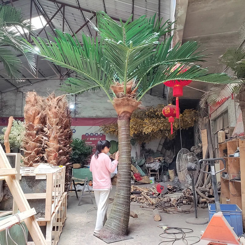 Base of the king coconut tree where the trunk sets into the ground