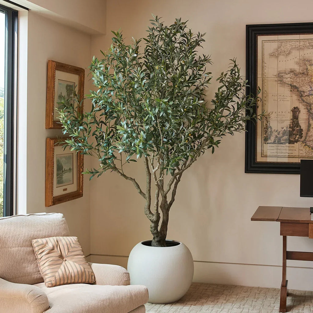 The same olive tree used outdoors on a terrace standing beside seating
