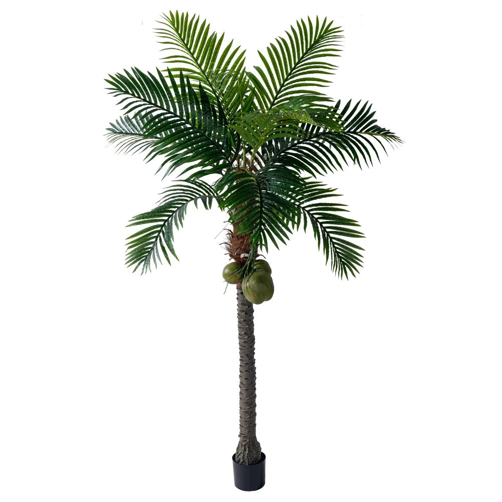 The 9.2ft coconut palm in a commercial interior standing beside a stair