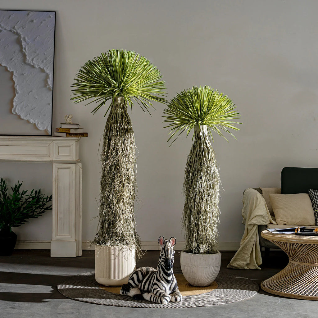 The UV-resistant dracaena used on a patio standing beside outdoor furniture