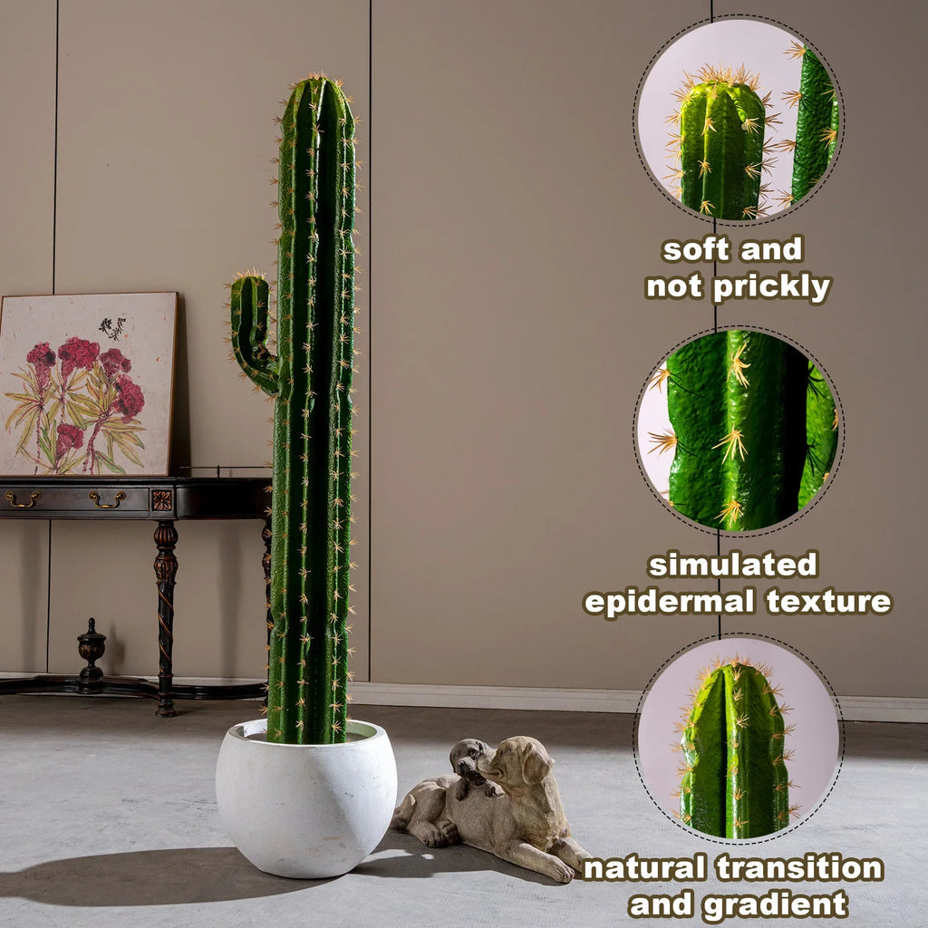 The cactus seen from above, its columns grouped in the potting surface