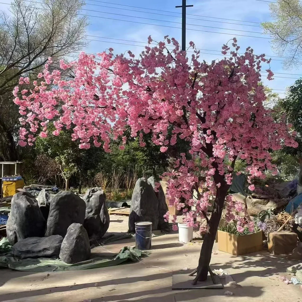 The sakura tree used outdoors as a landscape feature beside a garden path