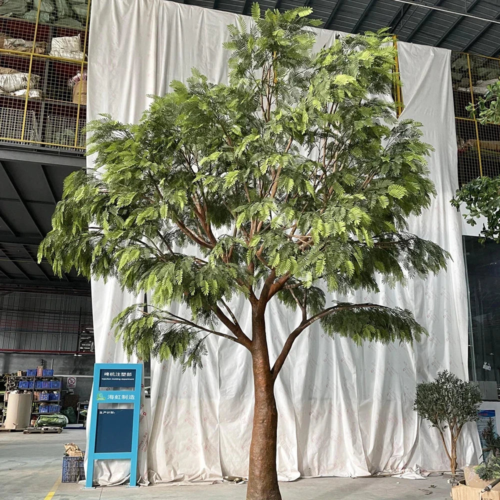 The 11.5ft acacia in a hotel lobby, branches reaching over the seating