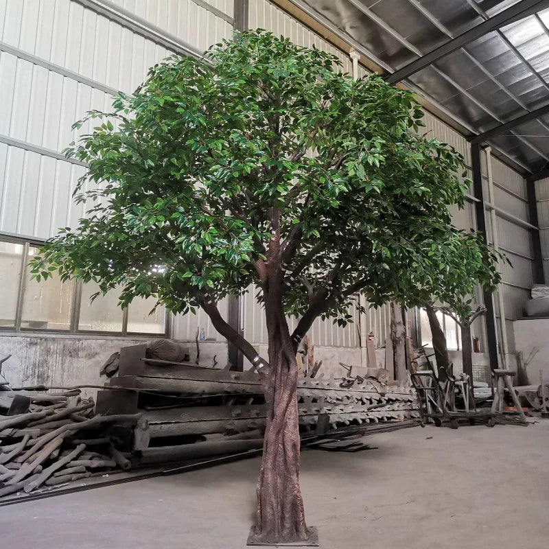 Branch tips of the banyan with the leaves layered into a dense surface