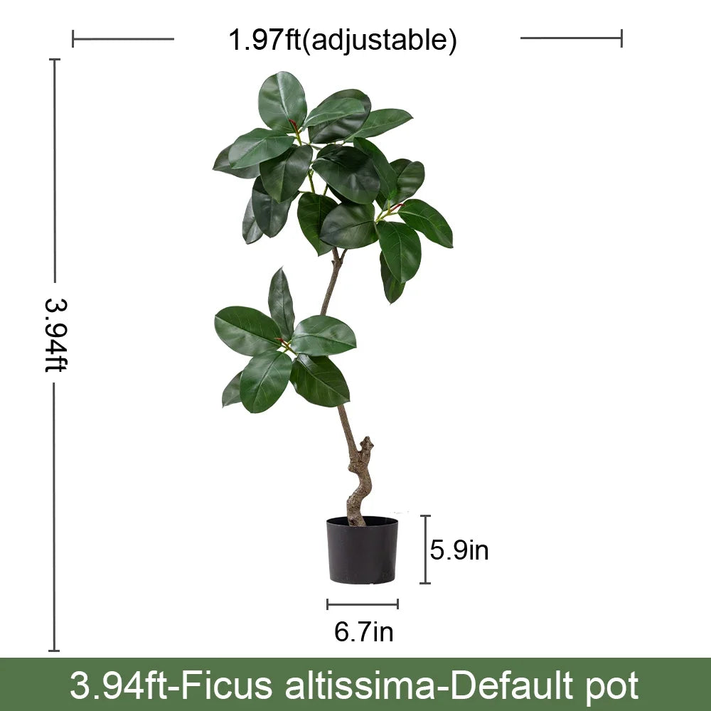 The trunk of the 5.4ft banyan fig rising up out of its potted base