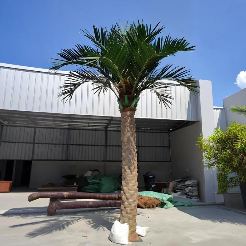 Base of the 4m date palm where the wood trunk sets into its planter