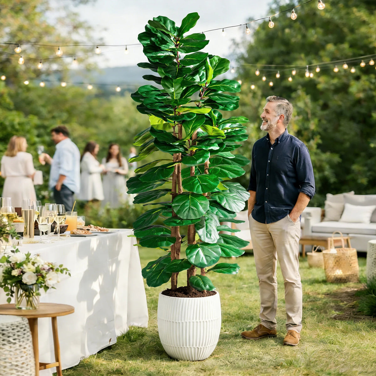 The banyan ficus used outdoors on a covered terrace beside seating
