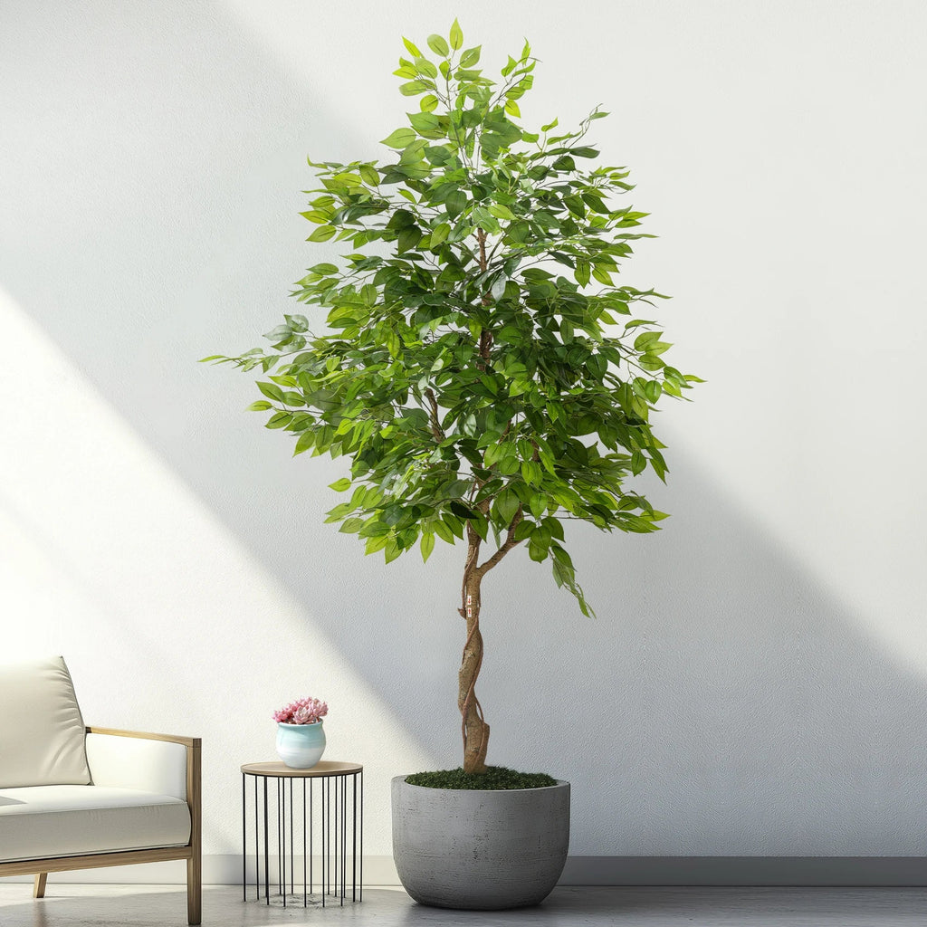 The sculpted bonsai trunk twisting up from the base into the leafy crown
