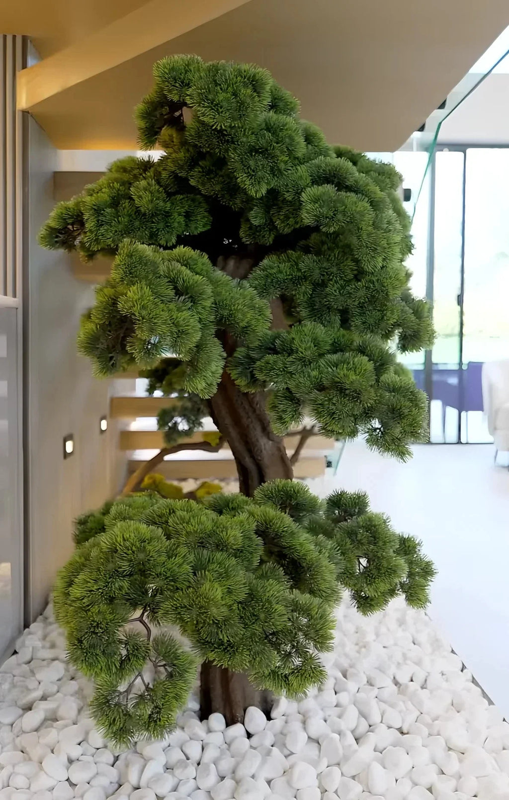 The pine bonsai in a commercial lobby standing beside a seating area