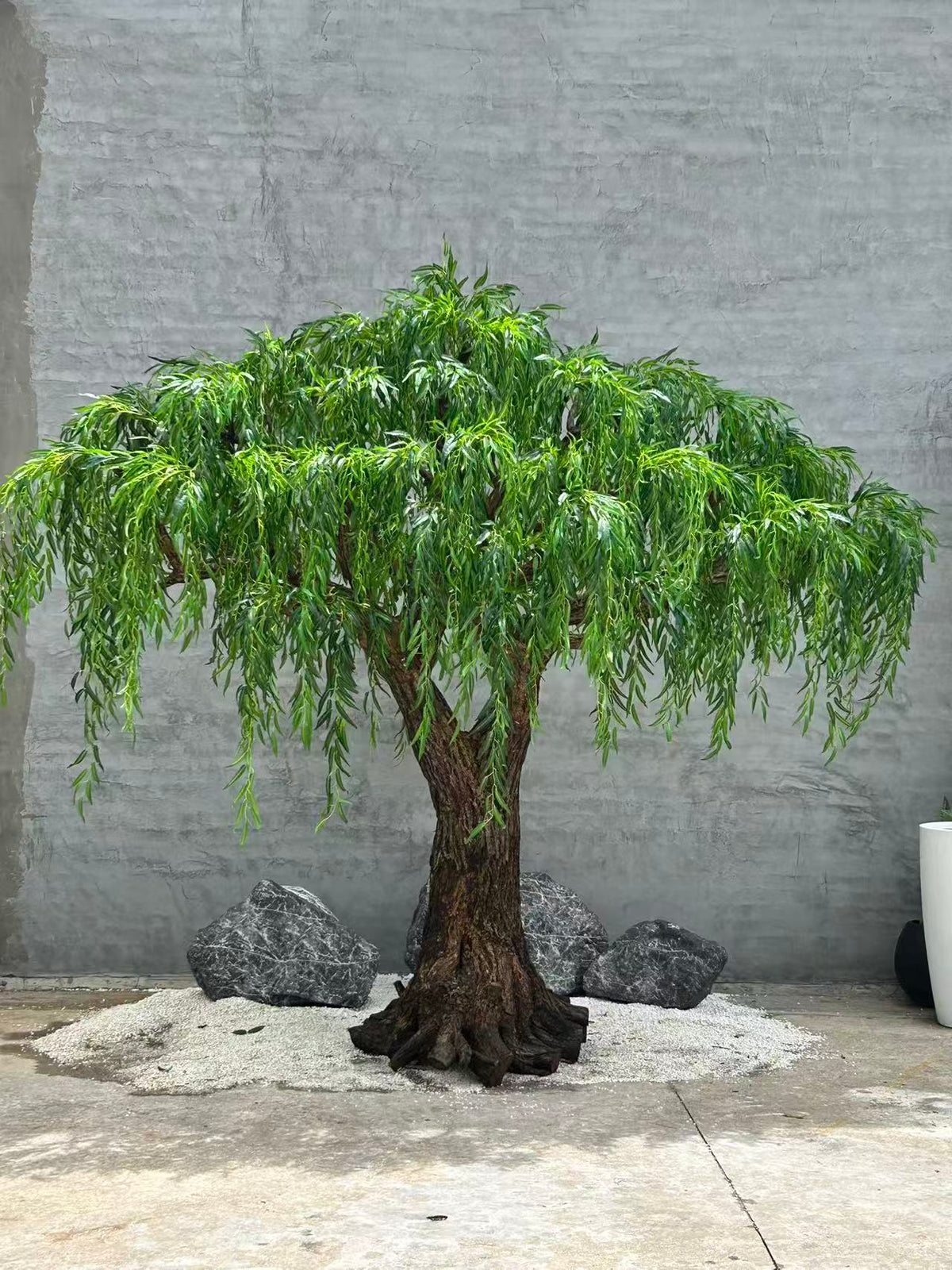 The trunk of the 3.5m willow rising into its canopy of trailing branches