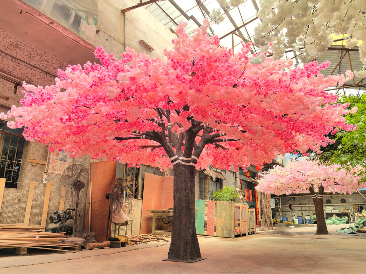 The crown of the 10ft blossom tree seen from below against the ceiling