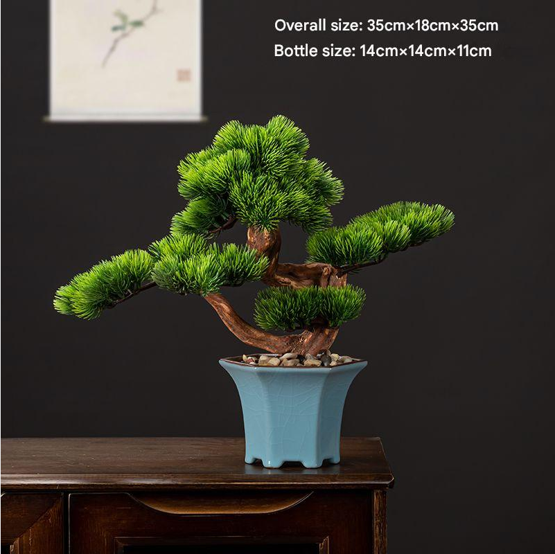 The bonsai seen from above with its pads spreading out in open tiers