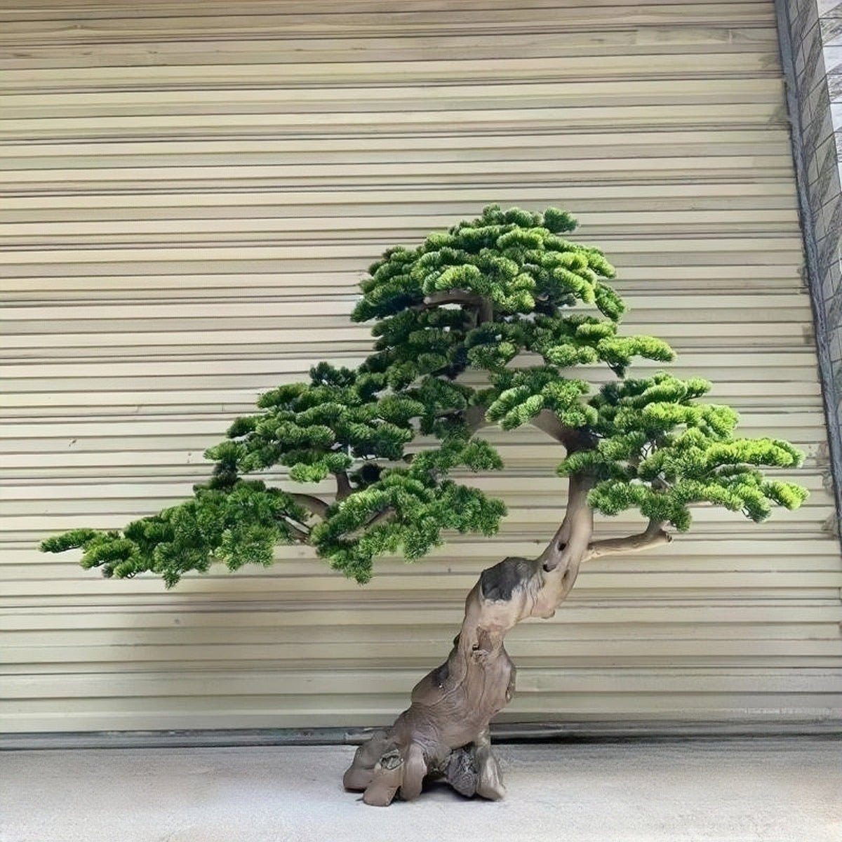 Faux welcome pine 6.5ft tall, with its foliage pads set on a solid wood trunk