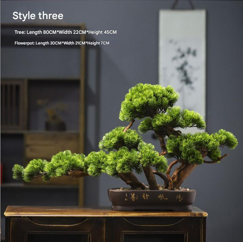 The sculpted trunk of the 3ft pine bonsai curving up from its shallow display pot