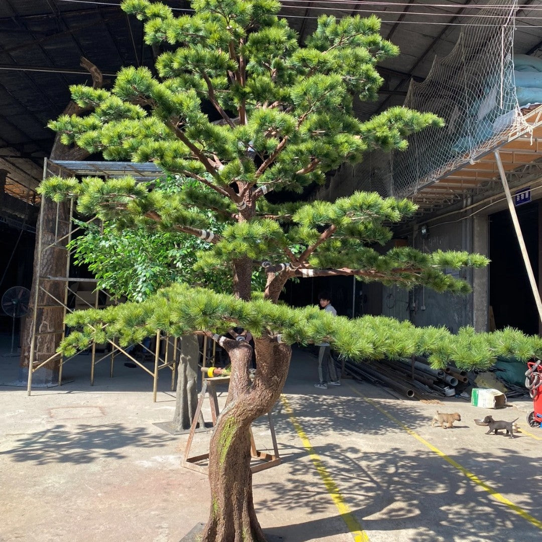 Artificial pine bonsai in the welcome-pine style, its branches trained out to one side