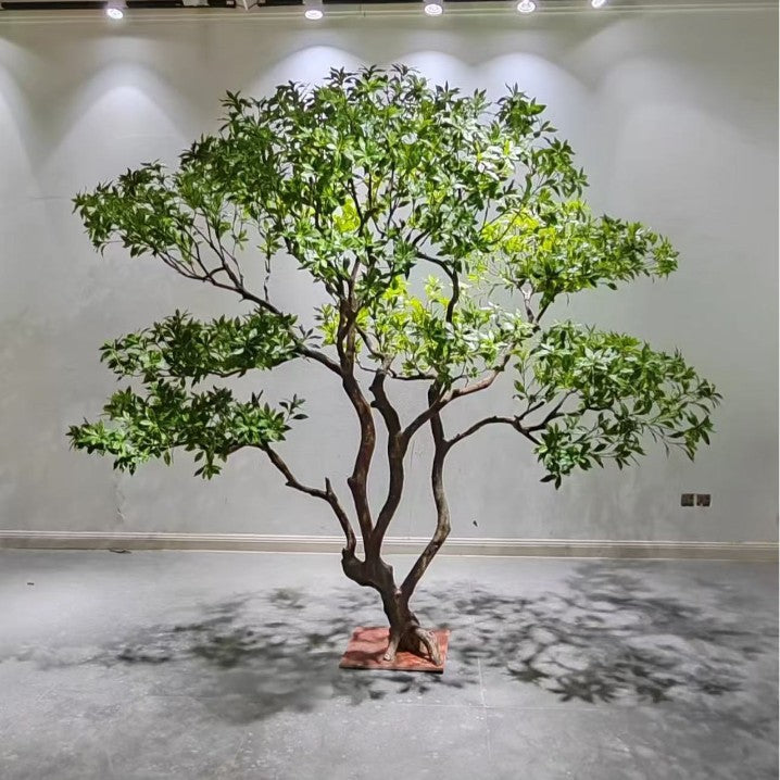 Artificial Pieris tree 6.5ft tall, leaf rosettes on sparse stems for a minimalist look