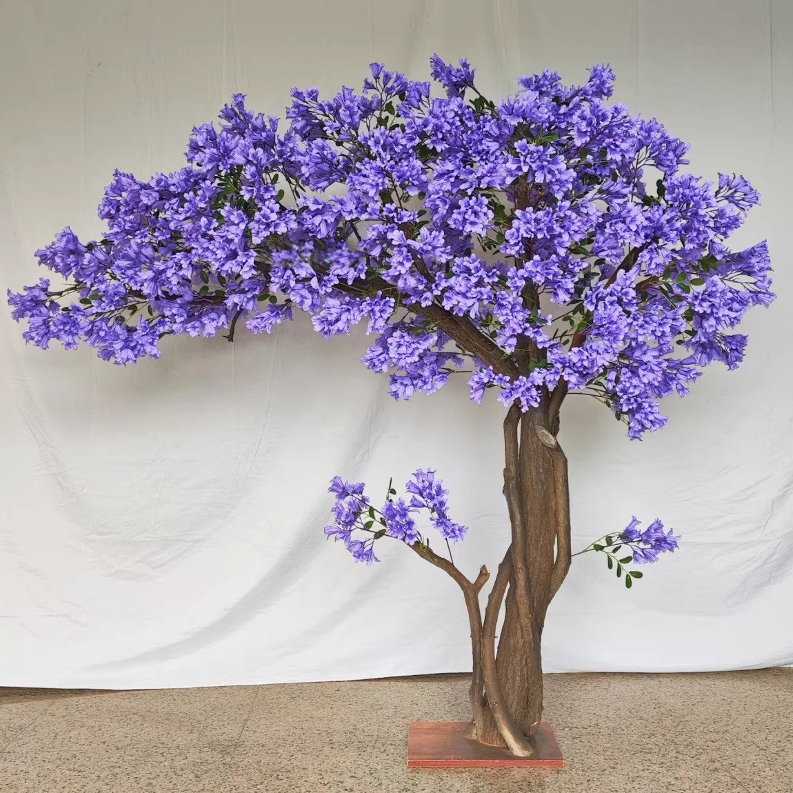 The branch frame of the purple blossom tree seen through gaps in the flowers