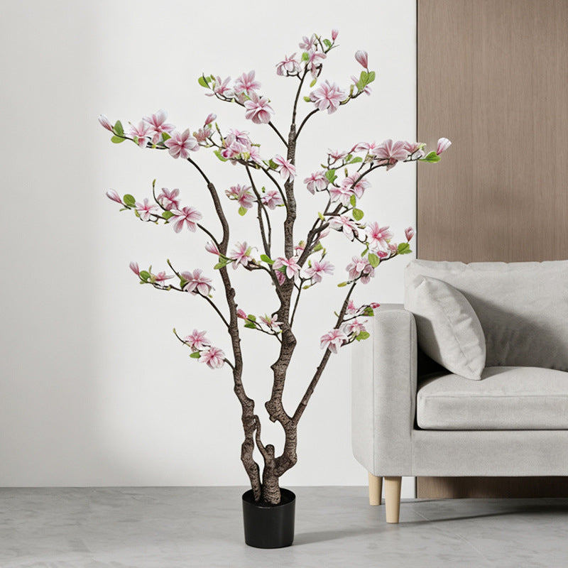 The 6ft magnolia tree in a commercial interior beside a pale plaster wall