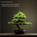 Artificial welcome pine 28in tall, potted, with branches trained out to one side