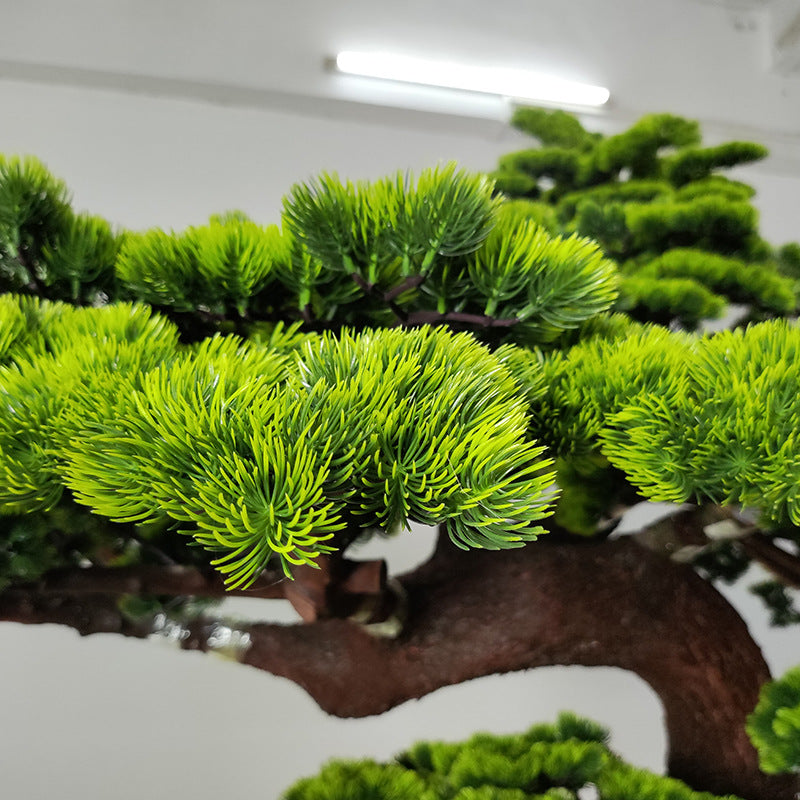 The natural wood trunk of the pine plant with its bark grain visible