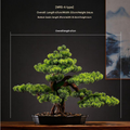Artificial welcome-pine bonsai for indoor decoration, branches trained into pads