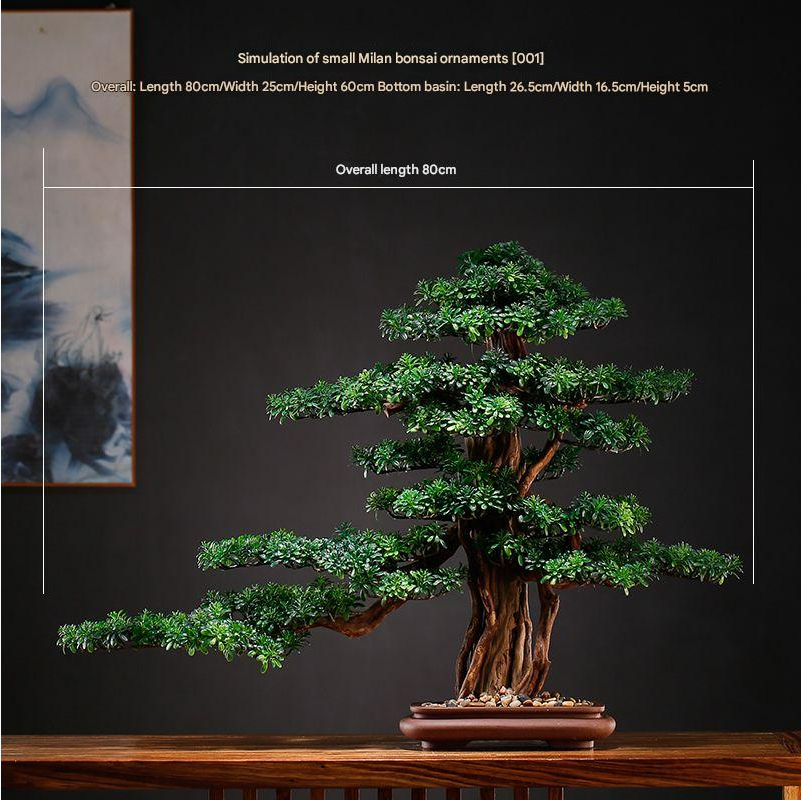 The bonsai seen from the side, branches reaching well out to one side