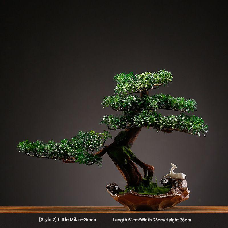 The 1.2m welcome pine used as decor beside an entrance hall doorway