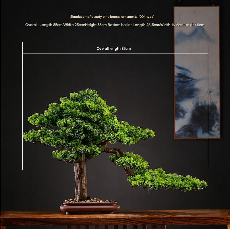 The pine bonsai used as an indoor decoration set on a low side table