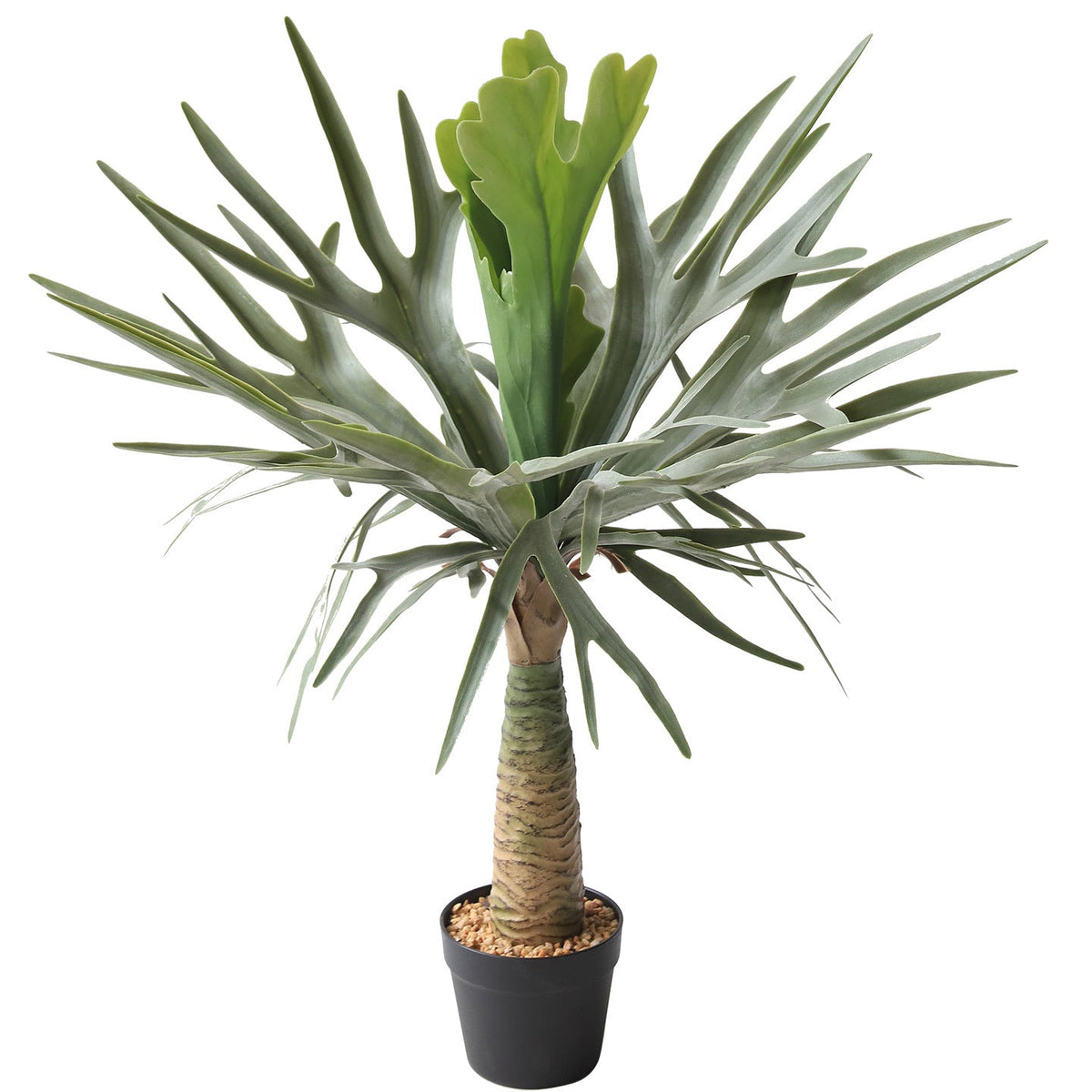 Base and pot of the faux staghorn fern where the fronds gather at the crown