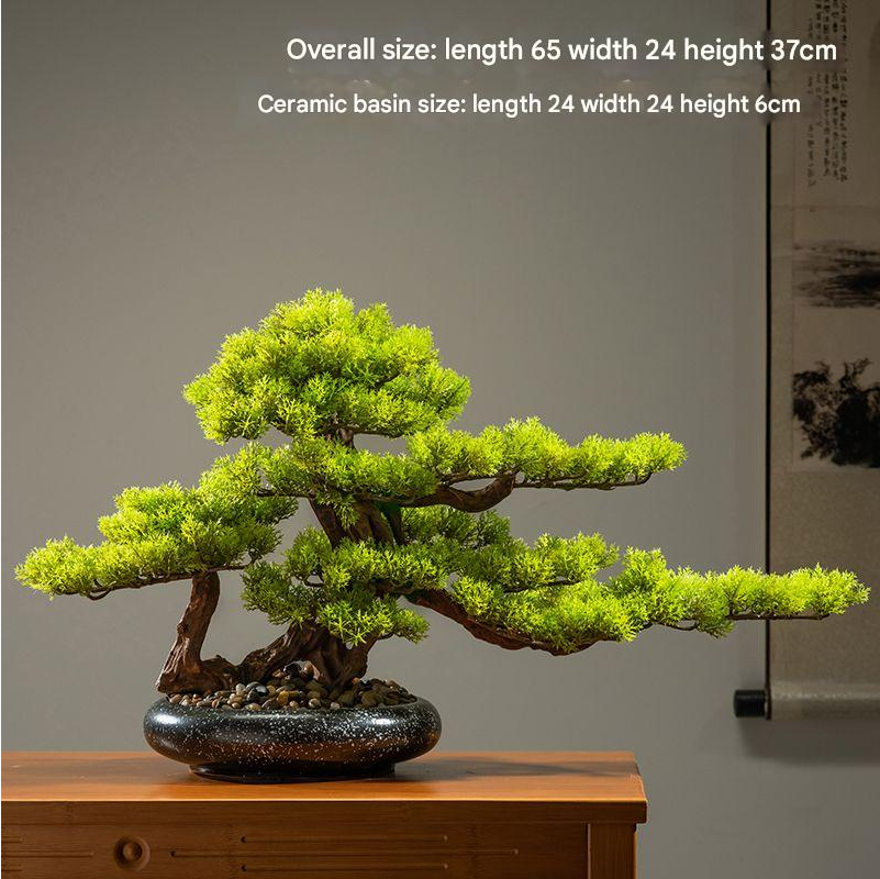 The cypress lit from one side to show the depth of its foliage