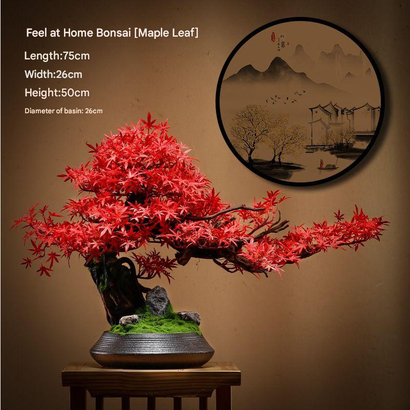 The lowest branch pad reaching out over the rim of the bonsai pot
