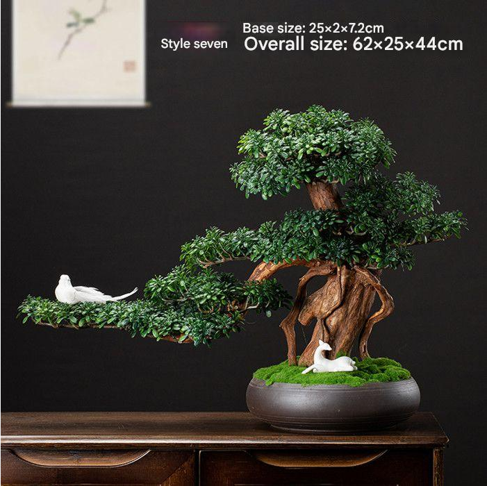 The bonsai in profile, branches reaching well past the edge of the pot below