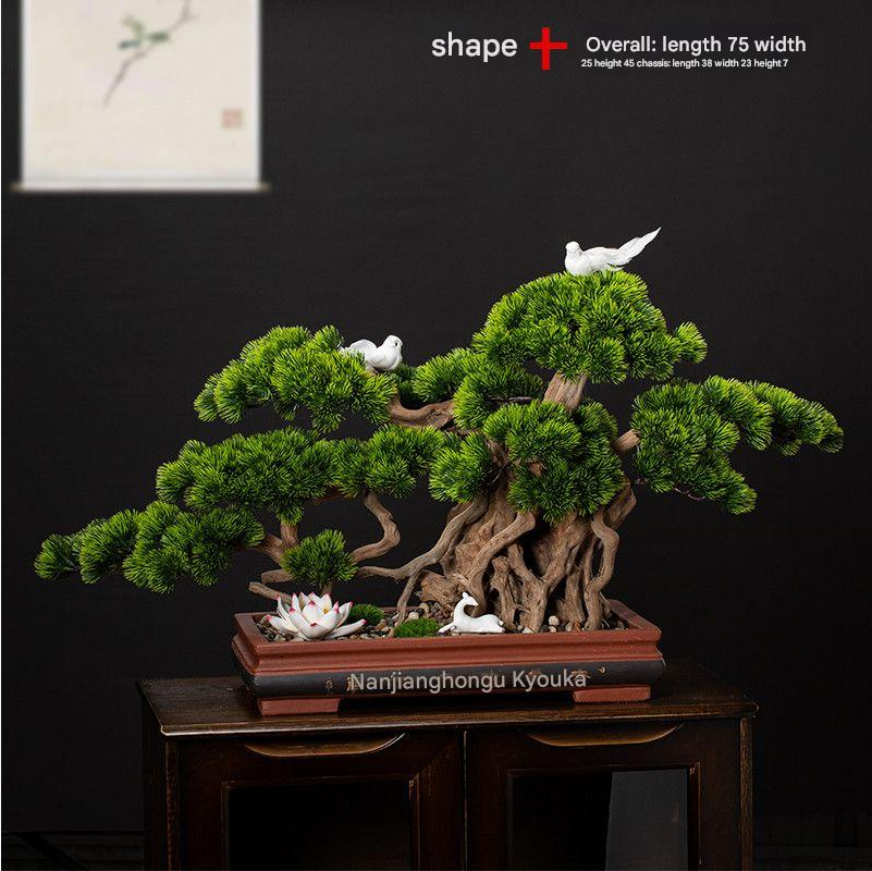 The 3ft pine shown beside a hand for a sense of its compact size