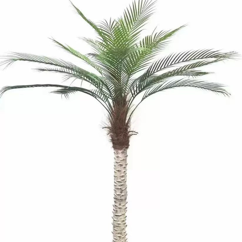 Fronds of the faux areca seen from below, layered against a pale ceiling