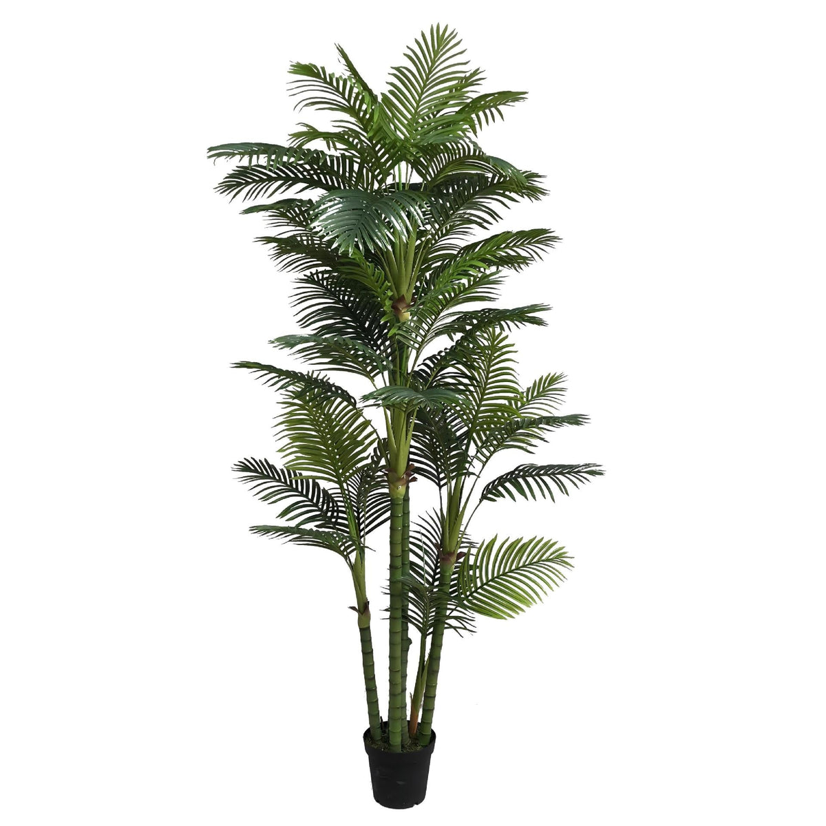 The pot and moss-topped base of the floor-standing artificial areca palm