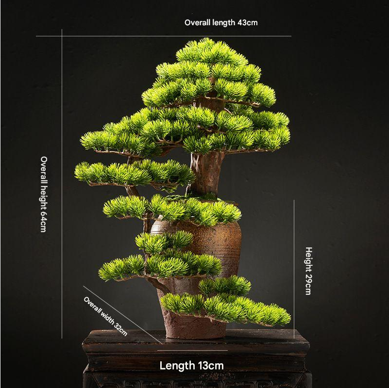Moulded bark texture running along the length of the pine bonsai trunk