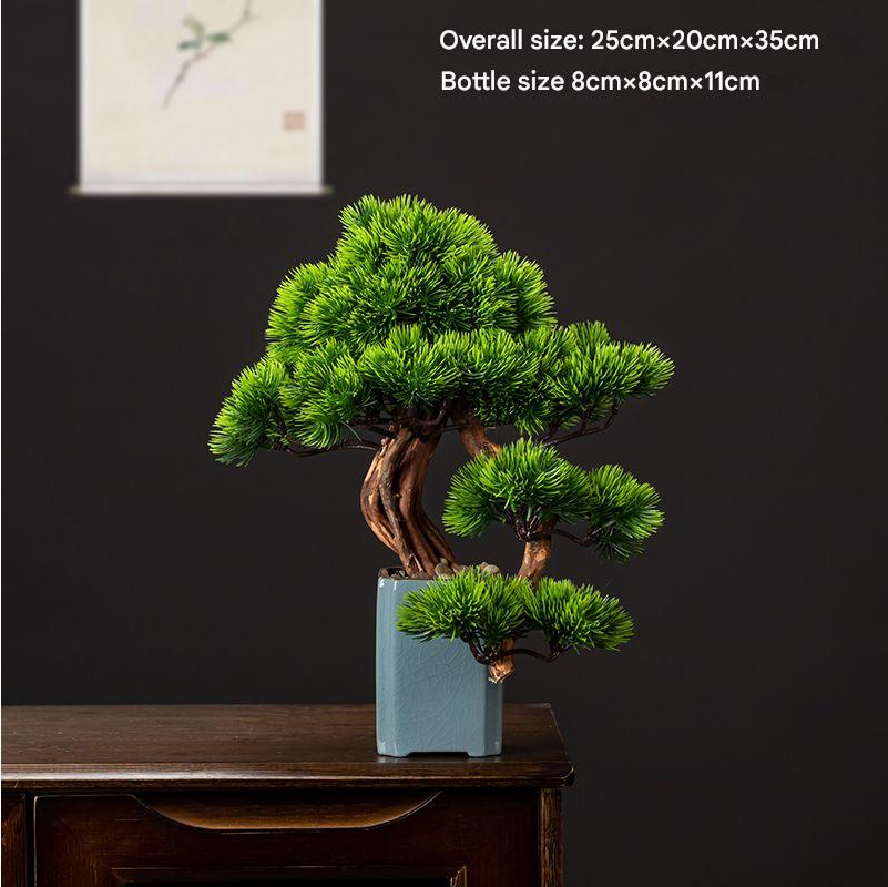 The bonsai in profile from the side, branches stepping out to one side