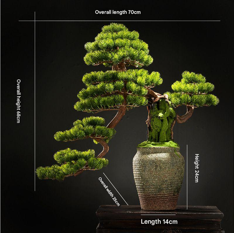 The pine bonsai set on a desk beside a lamp as home office decoration