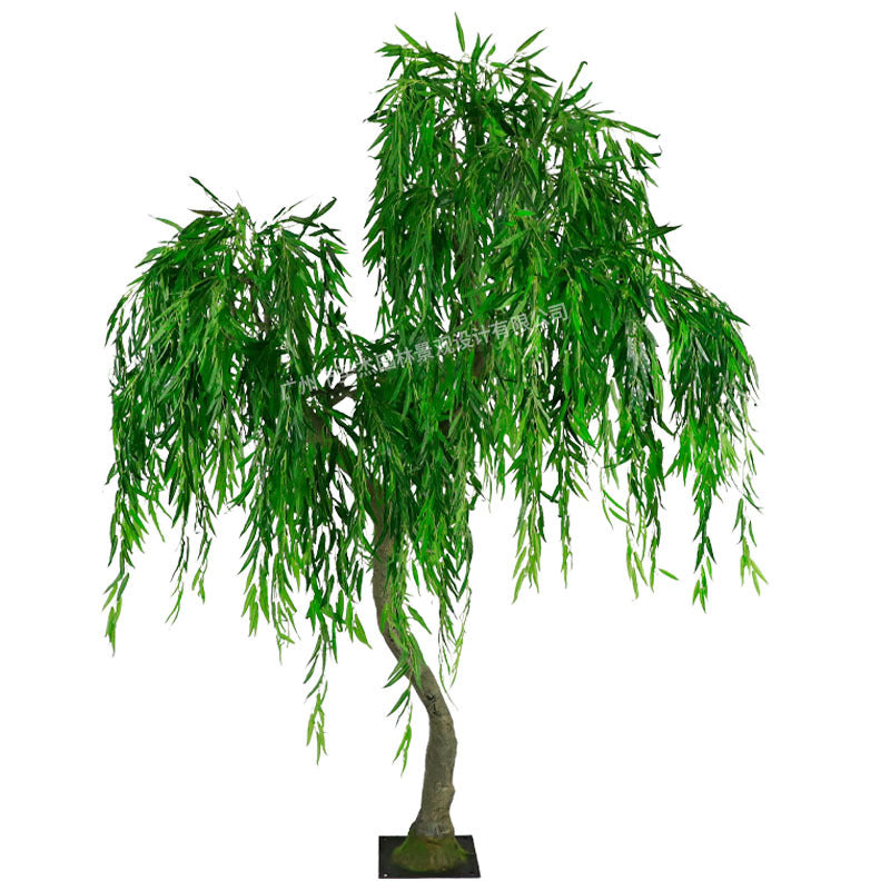 The weeping willow used as a showroom display piece against a plain wall