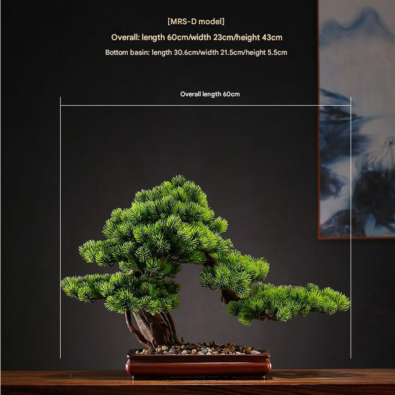 The lowest branch pad reaching out beyond the rim of the bonsai pot