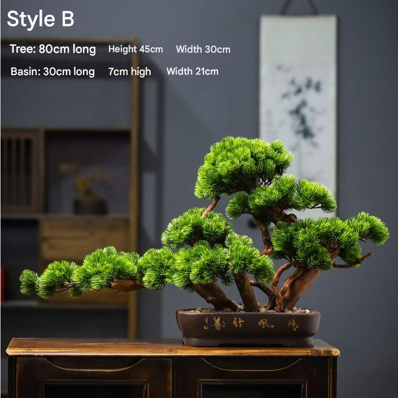Needle tips of the bonsai pine foliage, fine and slightly splayed at the ends