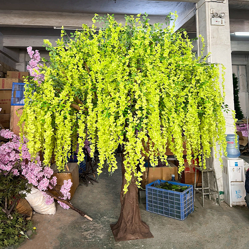 Close-up of the wisteria blooms trailing in long strands from the branches