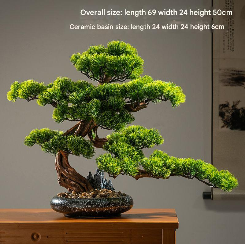 The cypress shown beside a doorway for a sense of its 6ft height