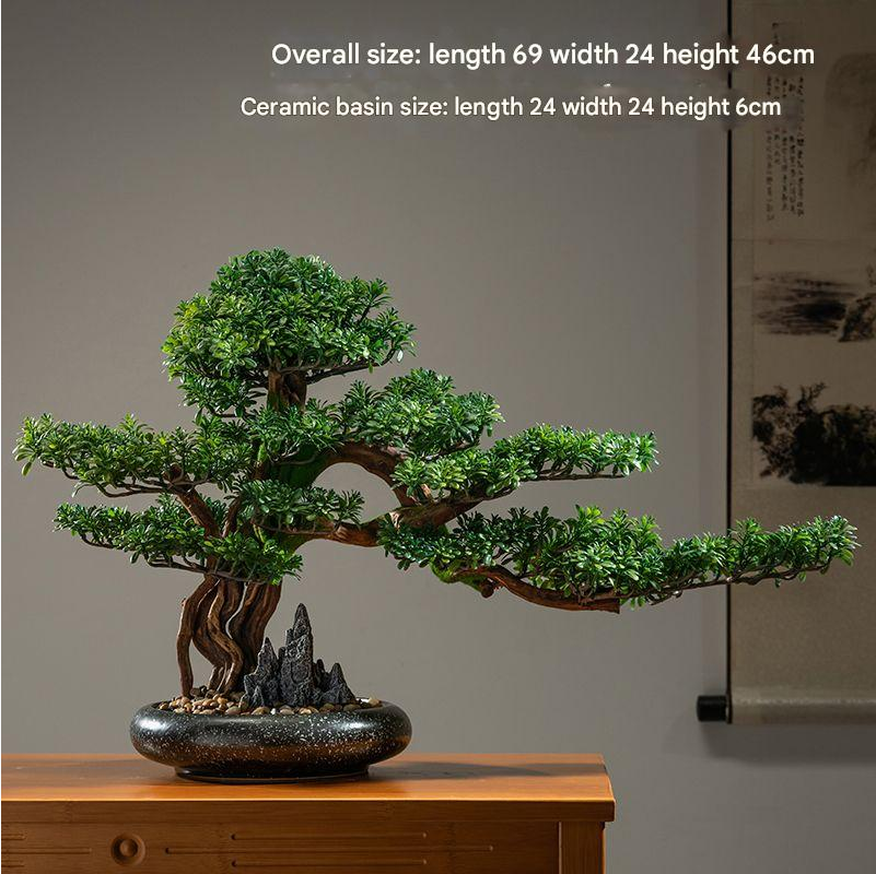 The cypress placed on a low plinth as an entrance display piece