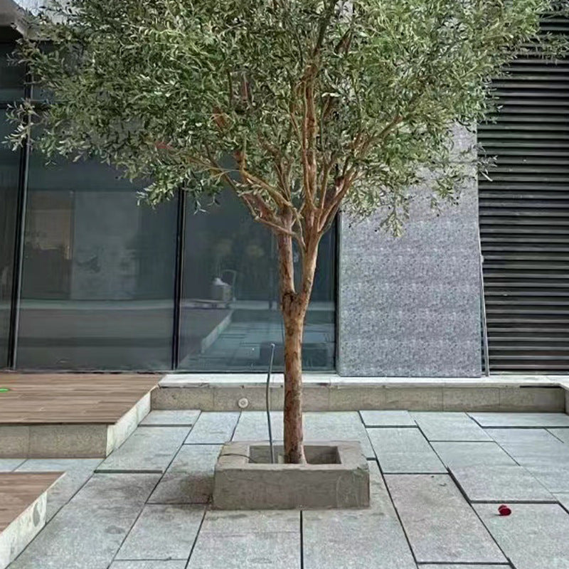 The 8ft and 9.5ft artificial olive trees shown together for height comparison