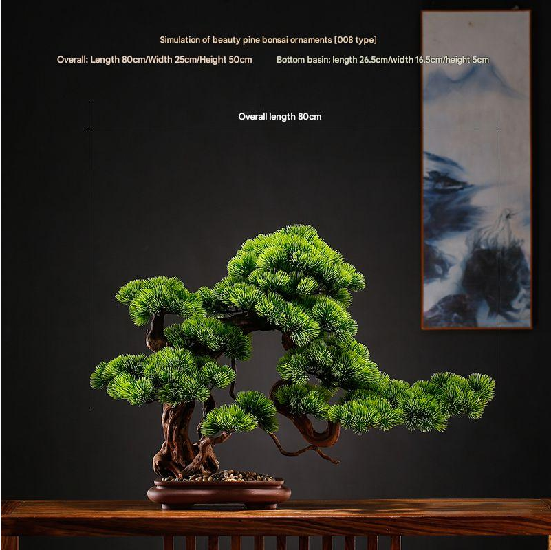 The bonsai seen from above, branch pads opening out in staggered tiers