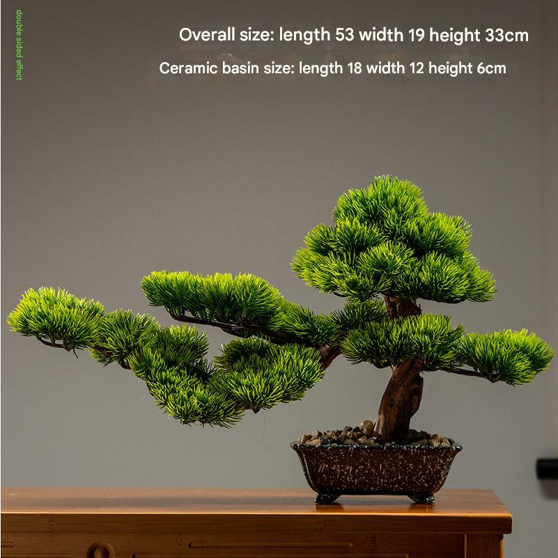 Needle sprays of the cypress, fine and layered along the branch tips