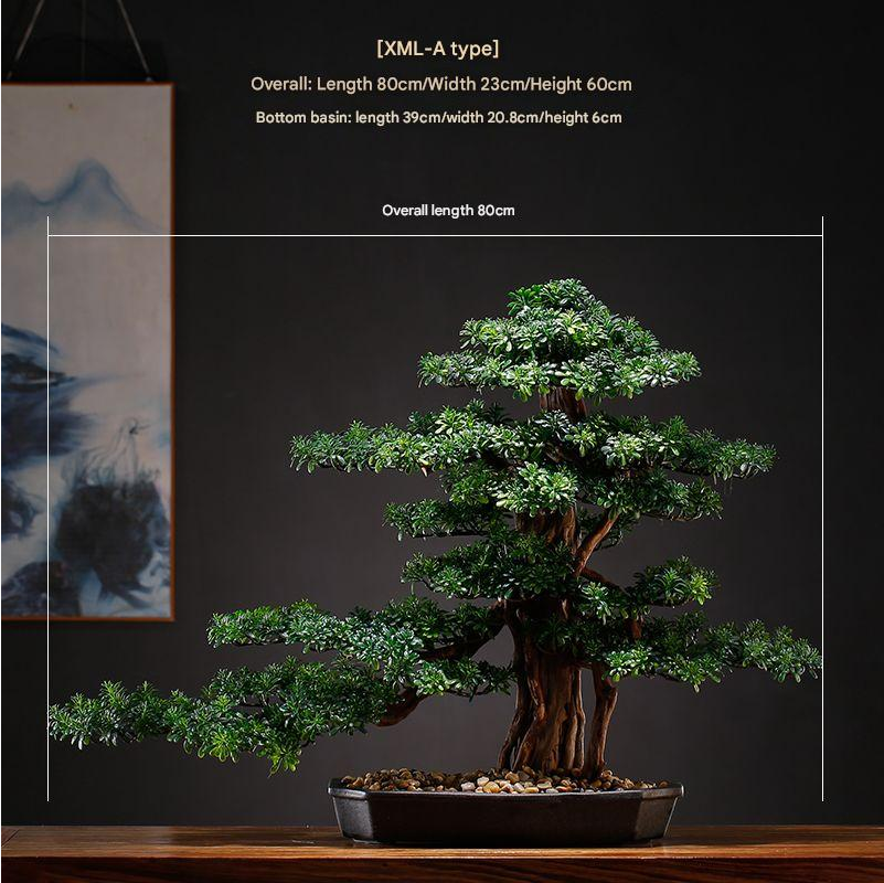 The bonsai in profile, branches trained well out to one side of the pot